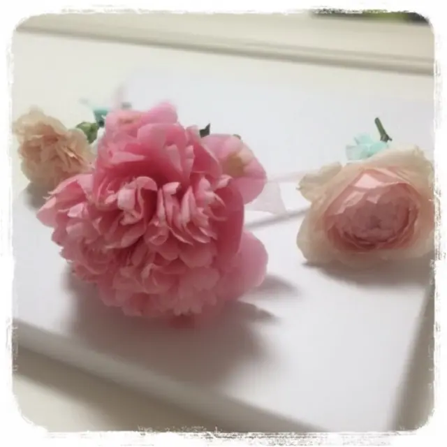 お部屋が一気に可愛くなる魔法♡簡単‼︎ドライフラワーの作り方♡_2