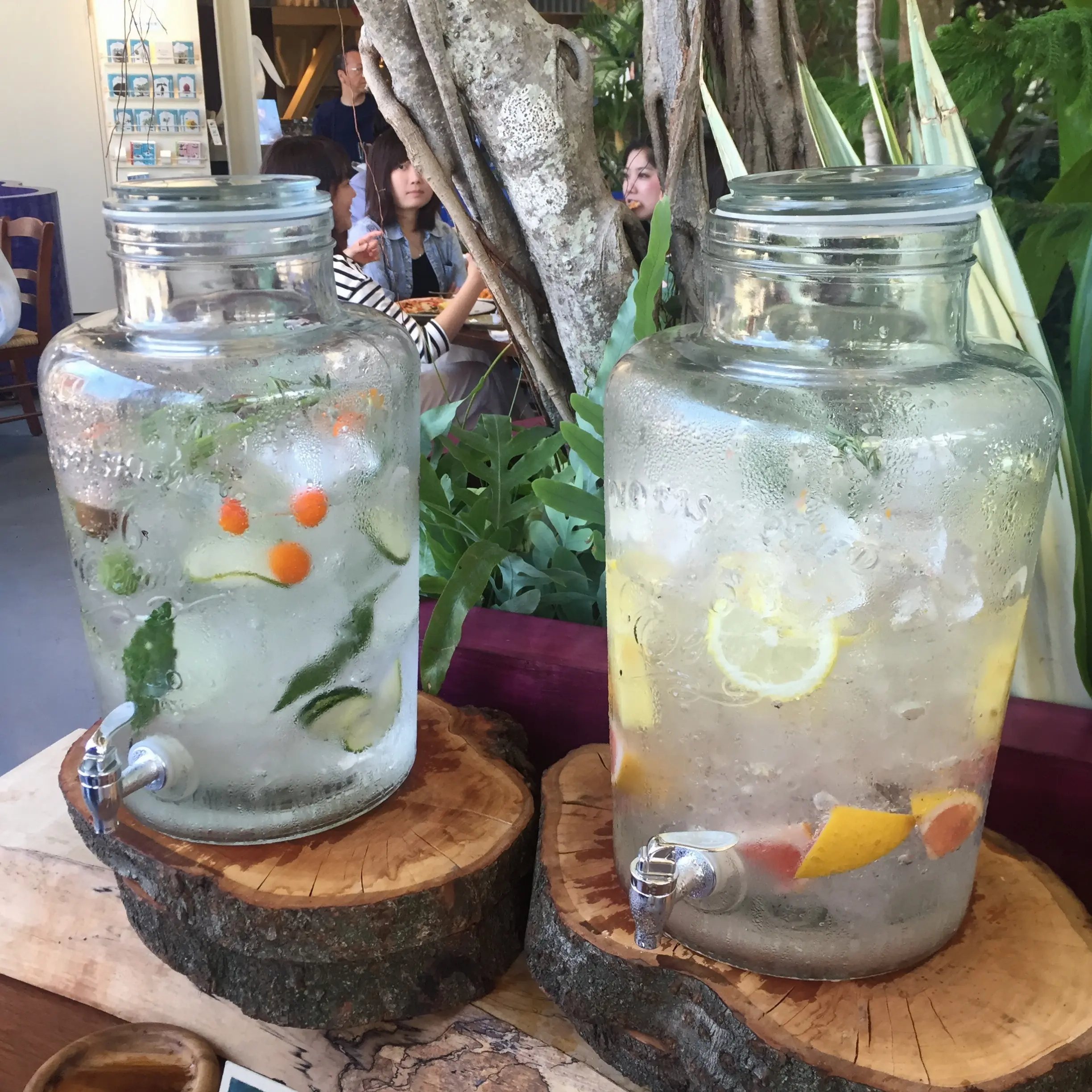 脱*野菜不足!FISH IN THE FOREST TOOTH TOOTH×そら植物園♡_5