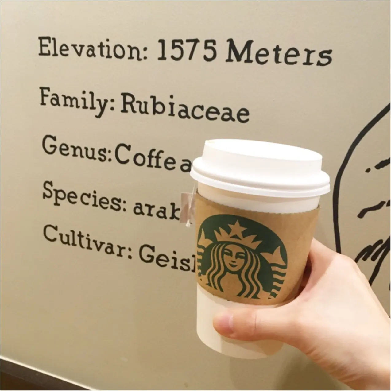 【知ってた!?】スタバの当たりのレシートが1500分の1の確率で当たる♡_4