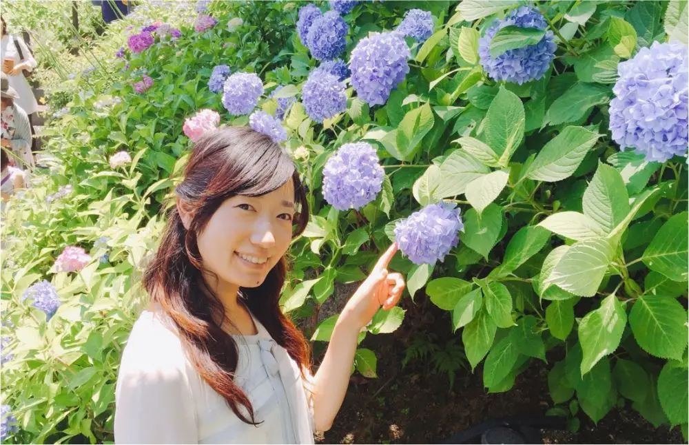 鎌倉の紫陽花名所特集 - 人気のあじさい寺「長谷寺」「名月院」などおすすめスポット_17
