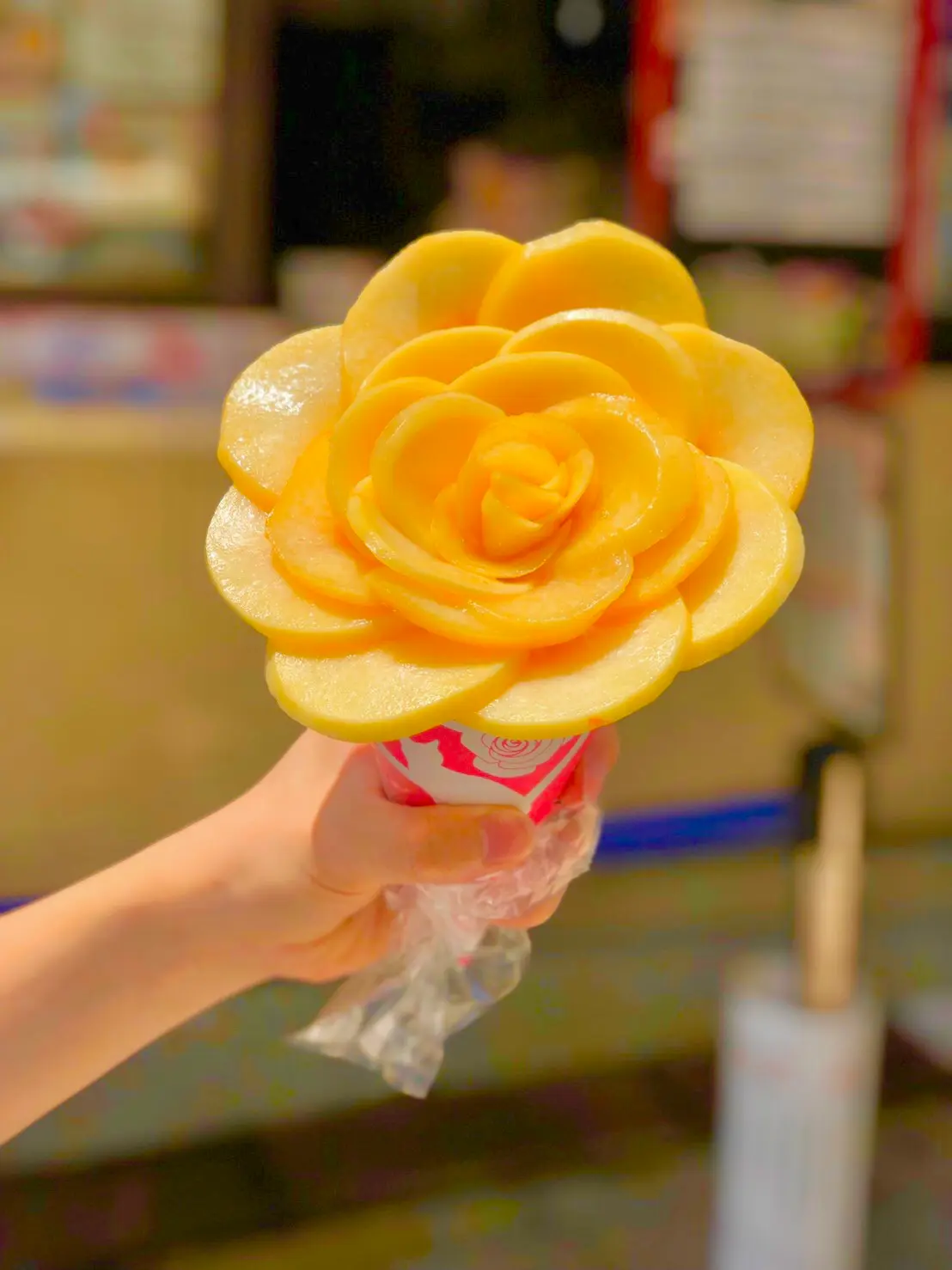 【女子旅でいくならここ】可愛すぎるネコとレモンの街、尾道 前編_7