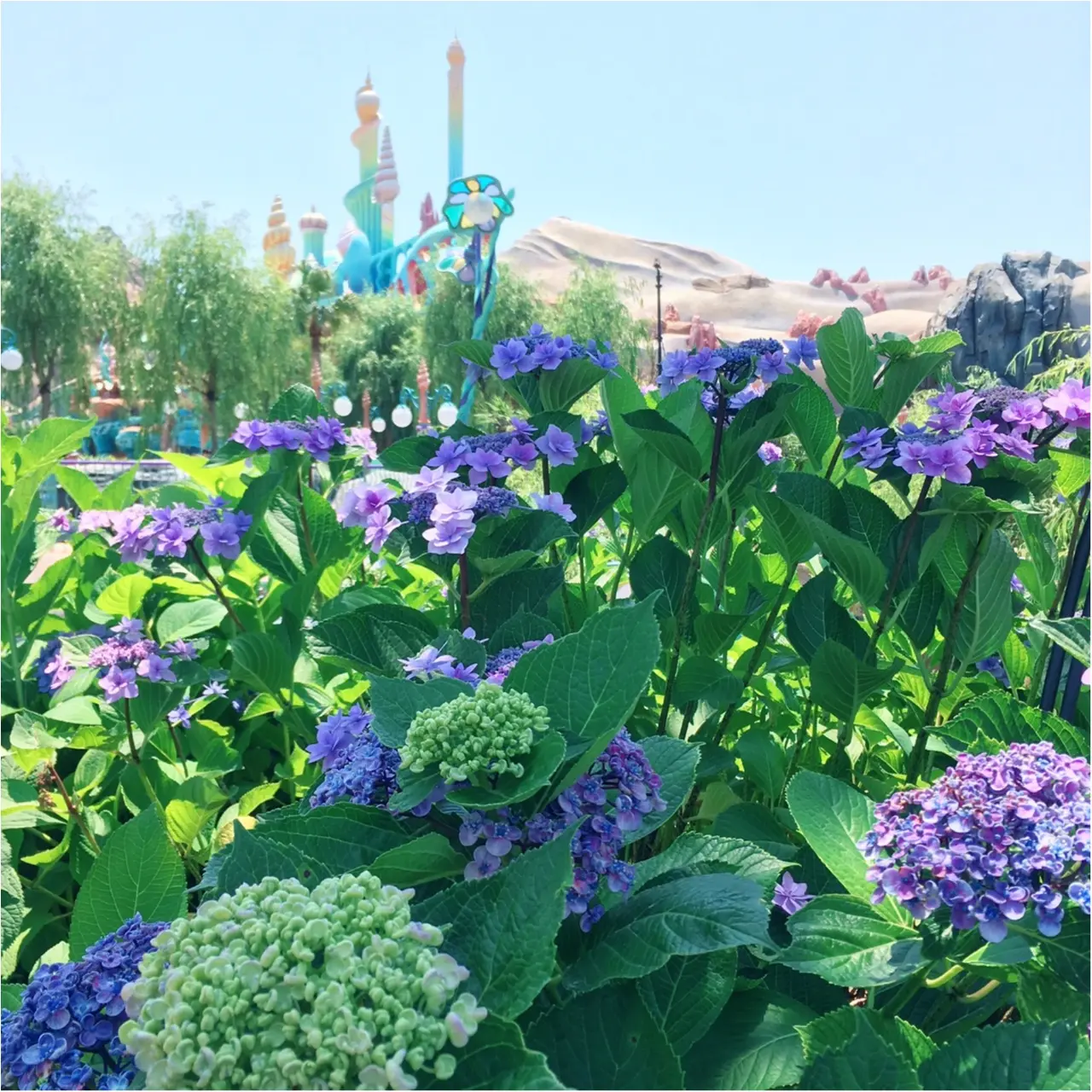 【七夕ディズニーシー】♡【3つの楽しみ方】_8