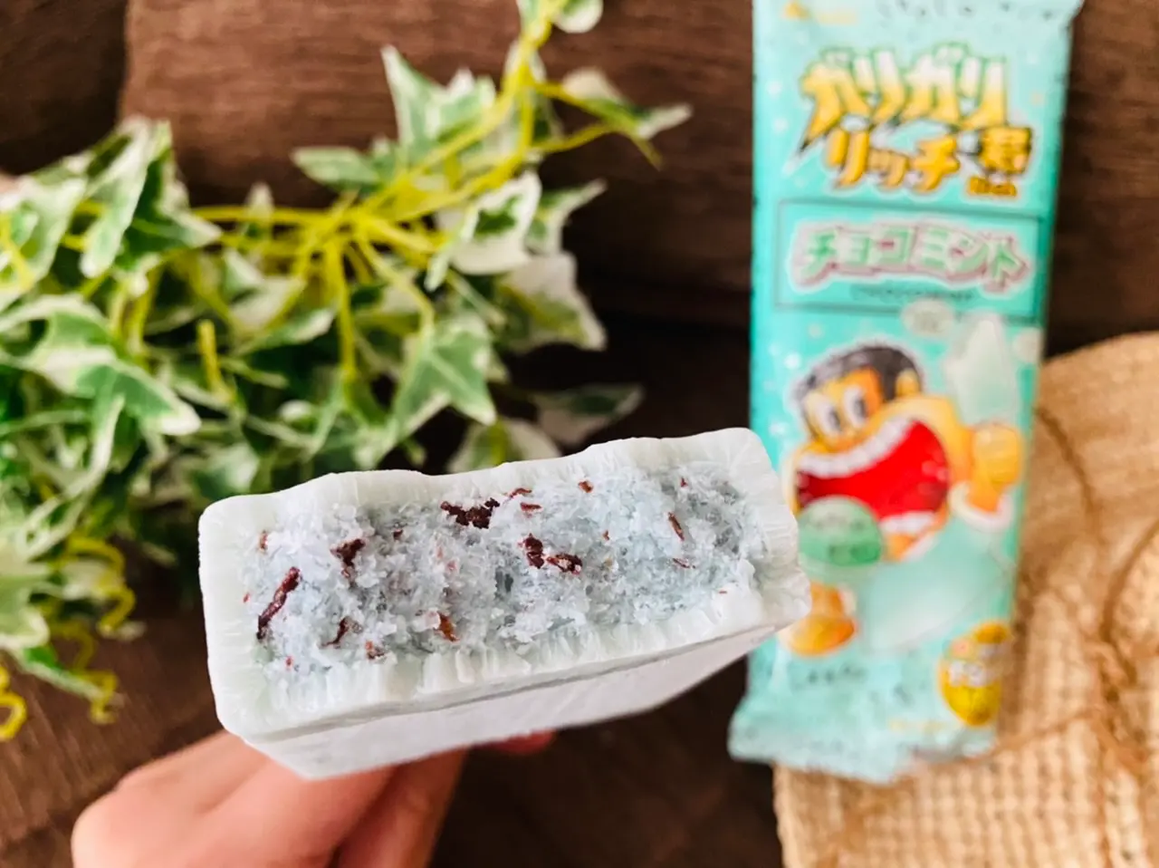 【おすすめアイス】チョコミン党に朗報!今年も《ガリガリ君 リッチチョコミント》が登場★_3