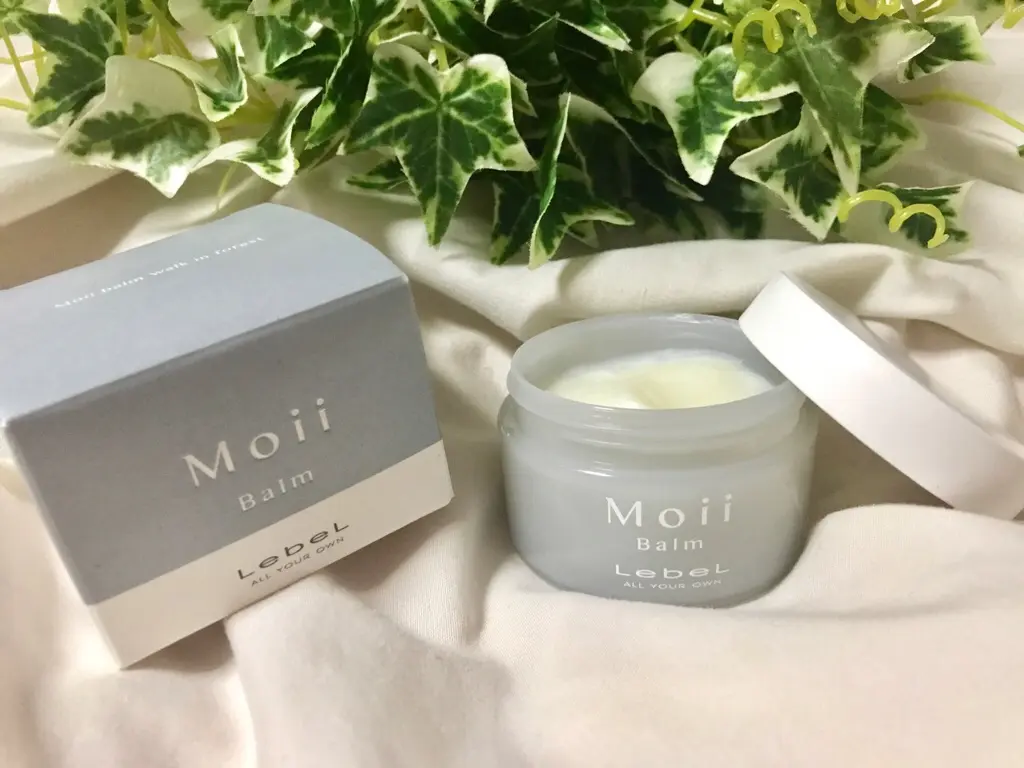 ウェットなトレンド髪が叶う!【Moii(モイ)】のヘアバームが優秀って知ってる?_2