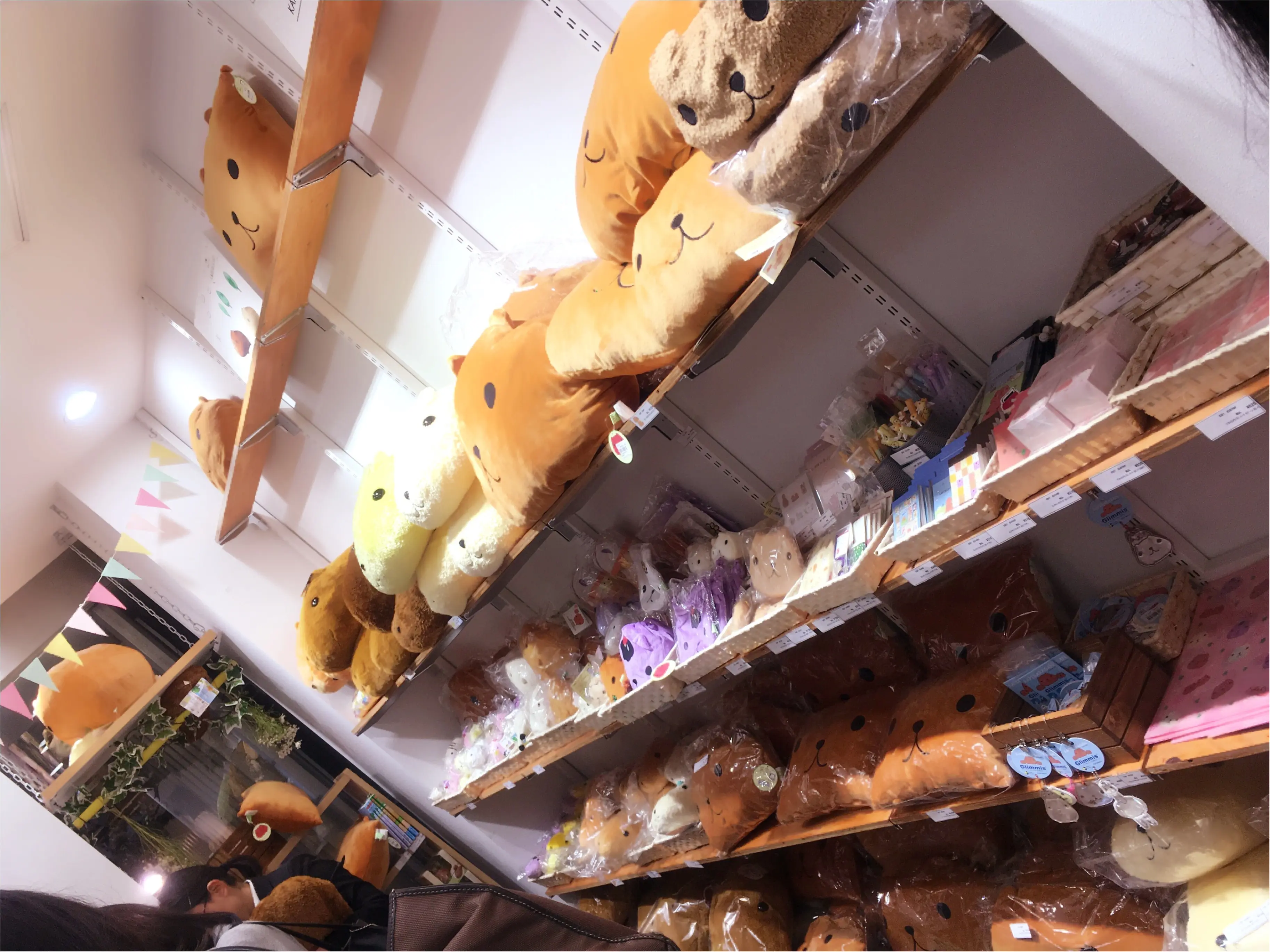 around27歳の私たちも…♡新宿ミロード出店中の「大人カピバラさん」に大注目♡_3