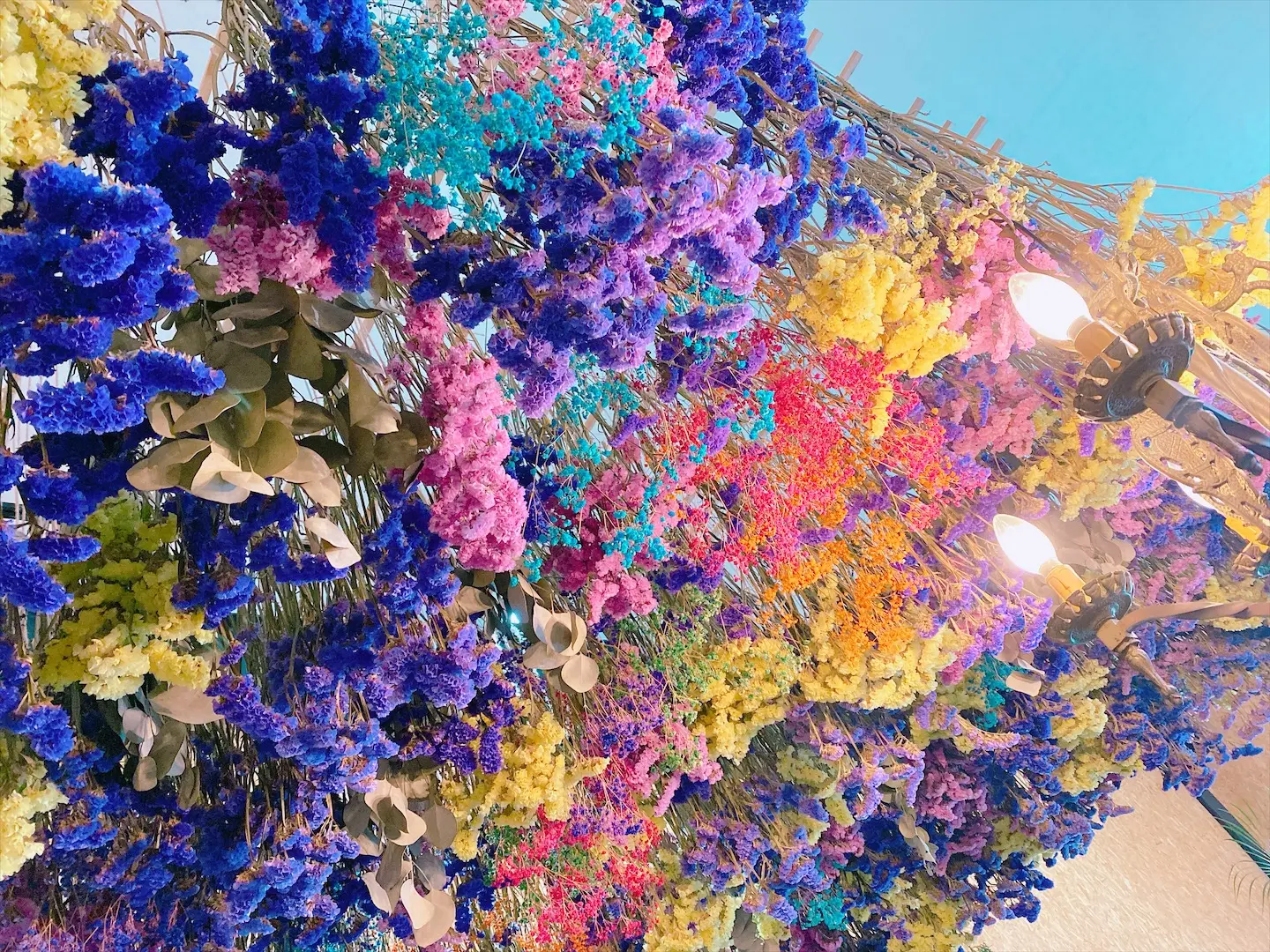 《静岡》お花に囲まれてる非日常空間の「カフェドフルール」に行ってきました♡_1