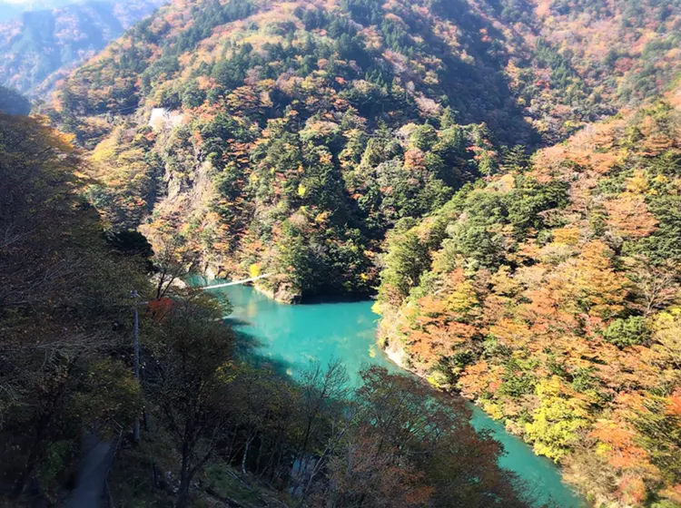 【#静岡】《夢の吊り橋×秋・紅葉》美しすぎるミルキーブルーの湖と紅葉のコントラストにうっとり♡湖上の吊り橋で空中散歩気分˚✧₊_4