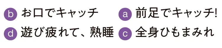 2019年 恋愛・結婚占い | 手相占い・SNS・心理テスト・浮気_22