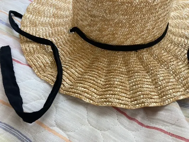 帽子の画像