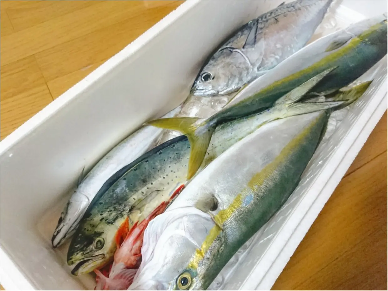 【おでかけ】自分で釣ったら、美味しさも倍増♪ 大海原に囲まれて、“海釣り” に挑戦してきました!_3