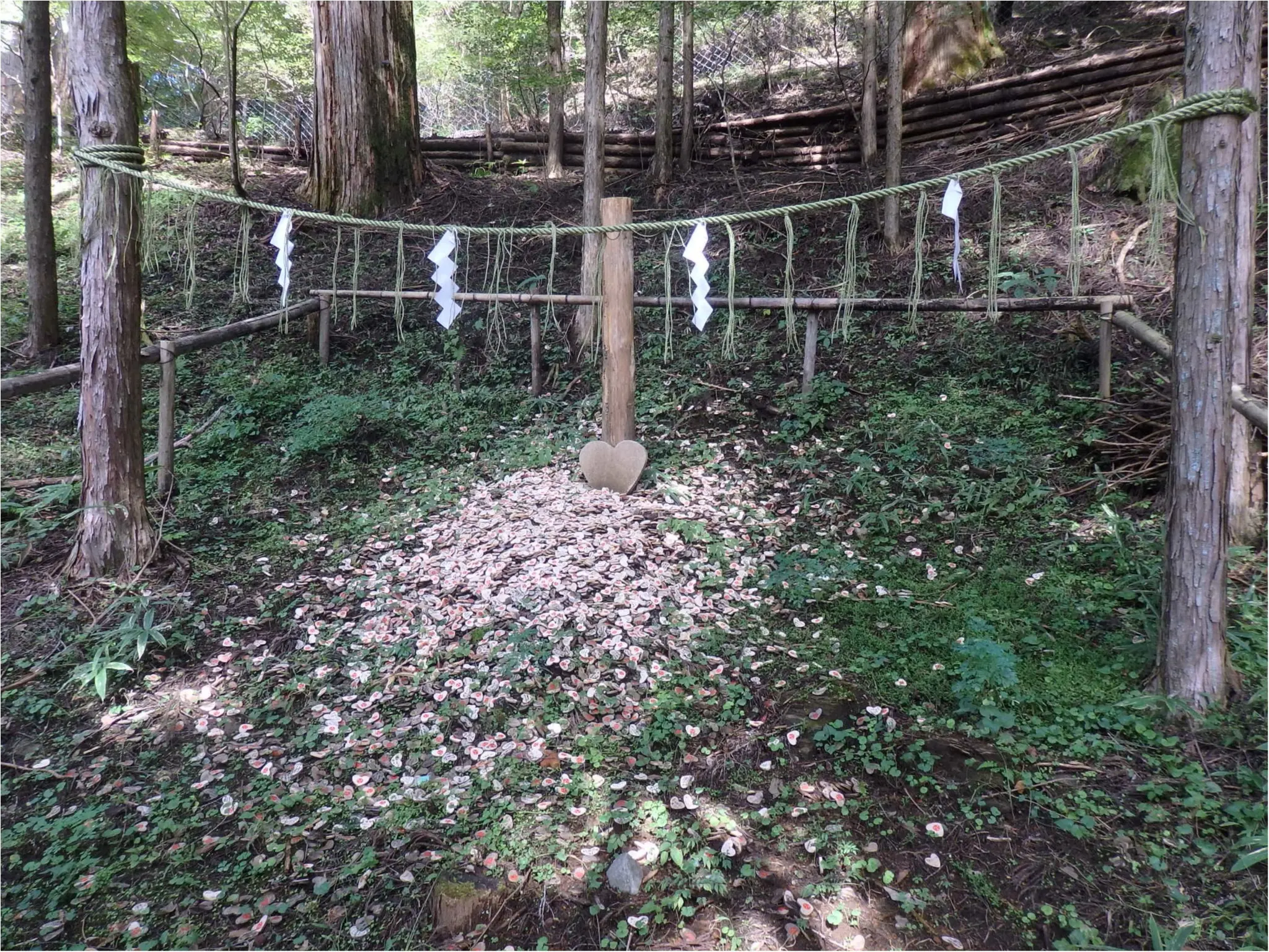 【知らなかった!】日本一楽しめる神社へ潜入してみた_39