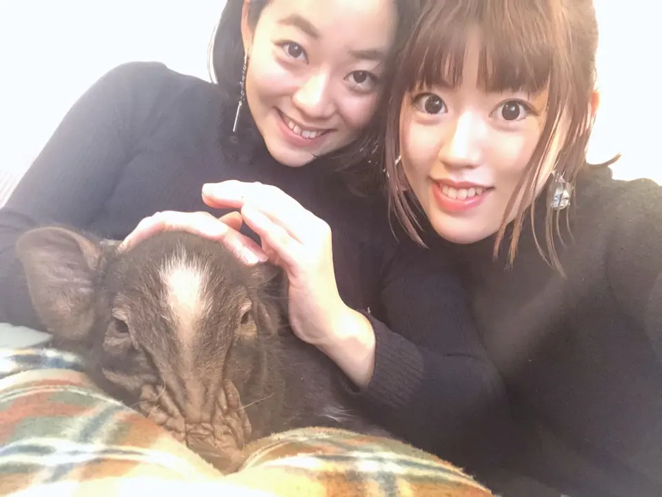 可愛すぎるマイクロブタちゃん♡動物カフェで1番のおすすめ!その魅力お伝えします☺︎!_6