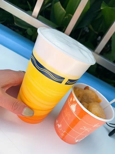 【東京ディズニーランドでもお酒が飲める!】宣言明けに絶対楽しみたい!_2