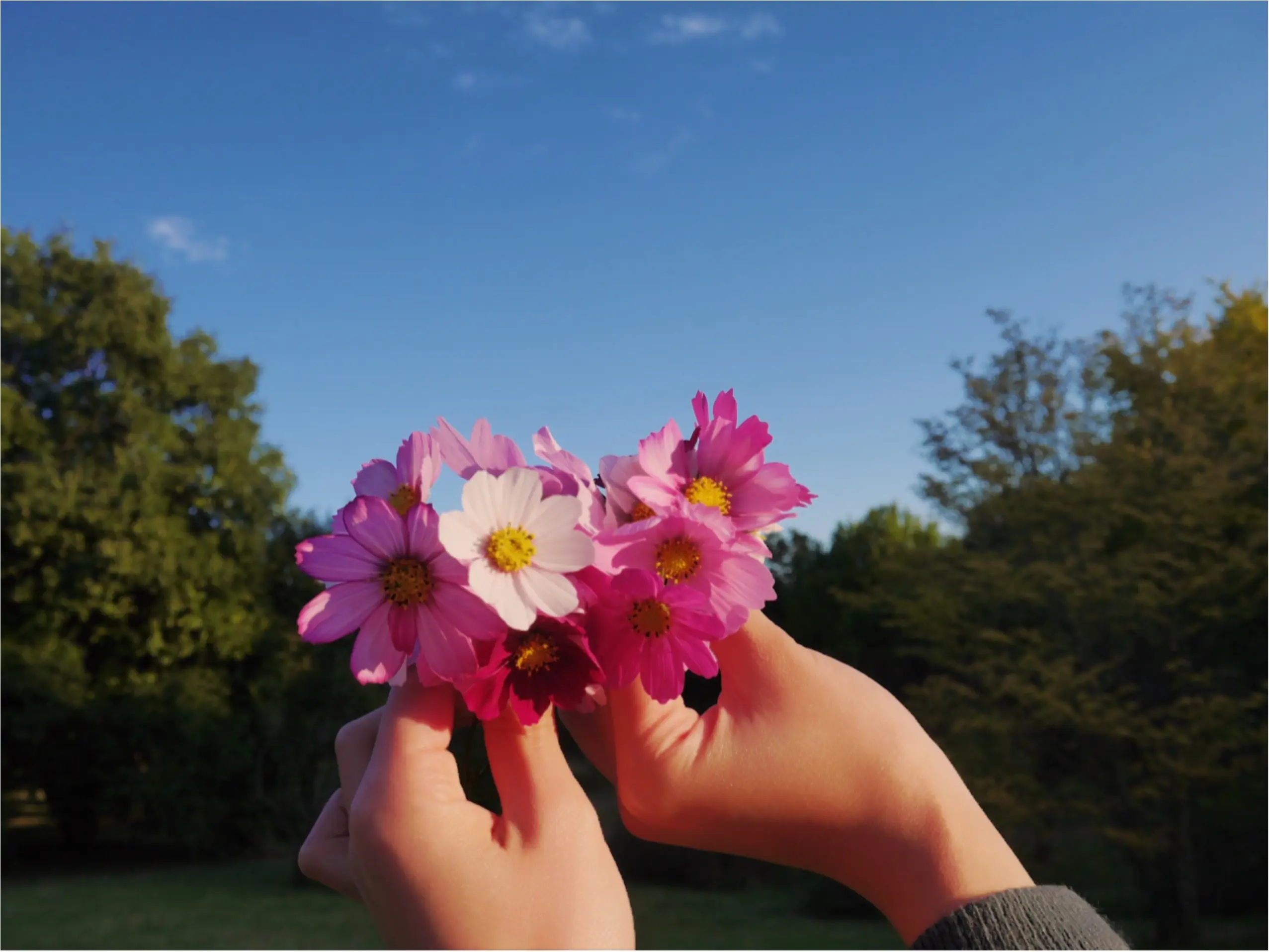 ★晴れた日は、カメラを持って昭和記念公園へ☺︎my camera は『LUMIX』!!_1