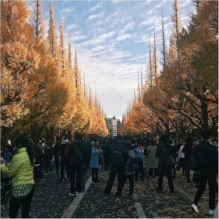 紅葉もあと少し!都内オススメ紅葉スポット巡り♡_1