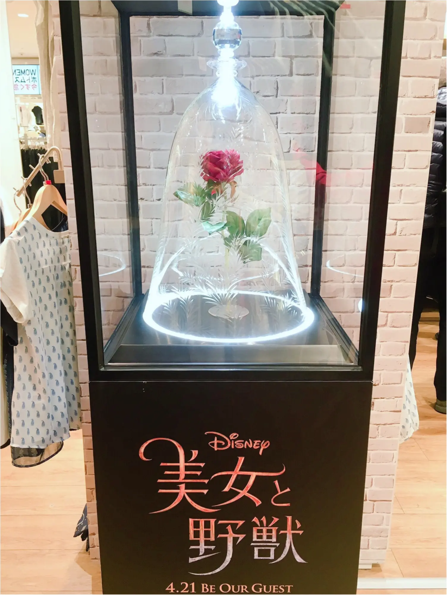 【UNIQLO】×【美女と野獣】〜Beauty and the Beast Collection〜今日から発売♡_1
