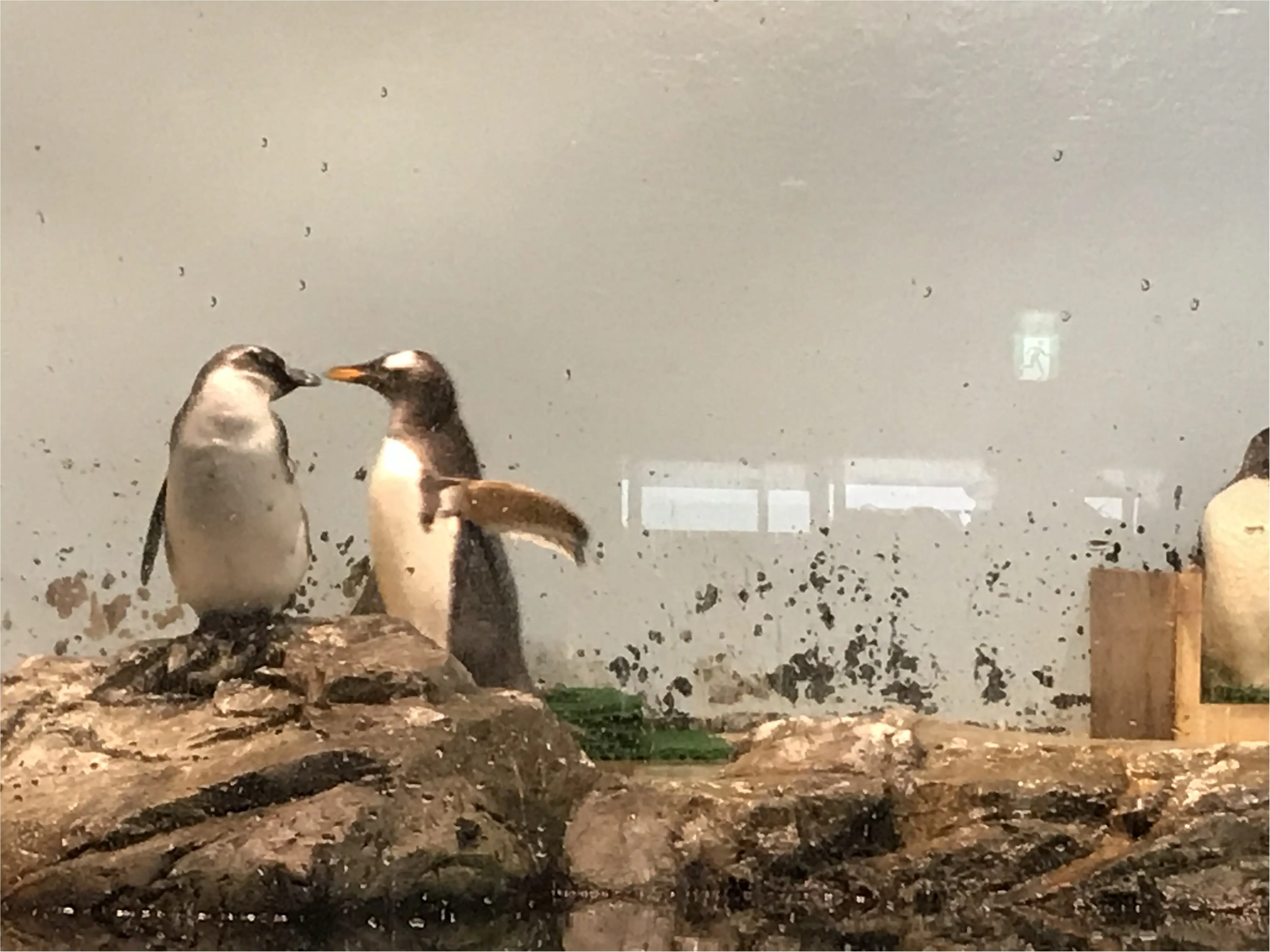 【アクアパーク品川】音・光・映像のエンターテイメント水族館!_6