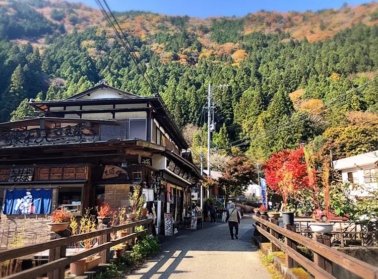 【#静岡】《夢の吊り橋×秋・紅葉》美しすぎるミルキーブルーの湖と紅葉のコントラストにうっとり♡湖上の吊り橋で空中散歩気分˚✧₊_3