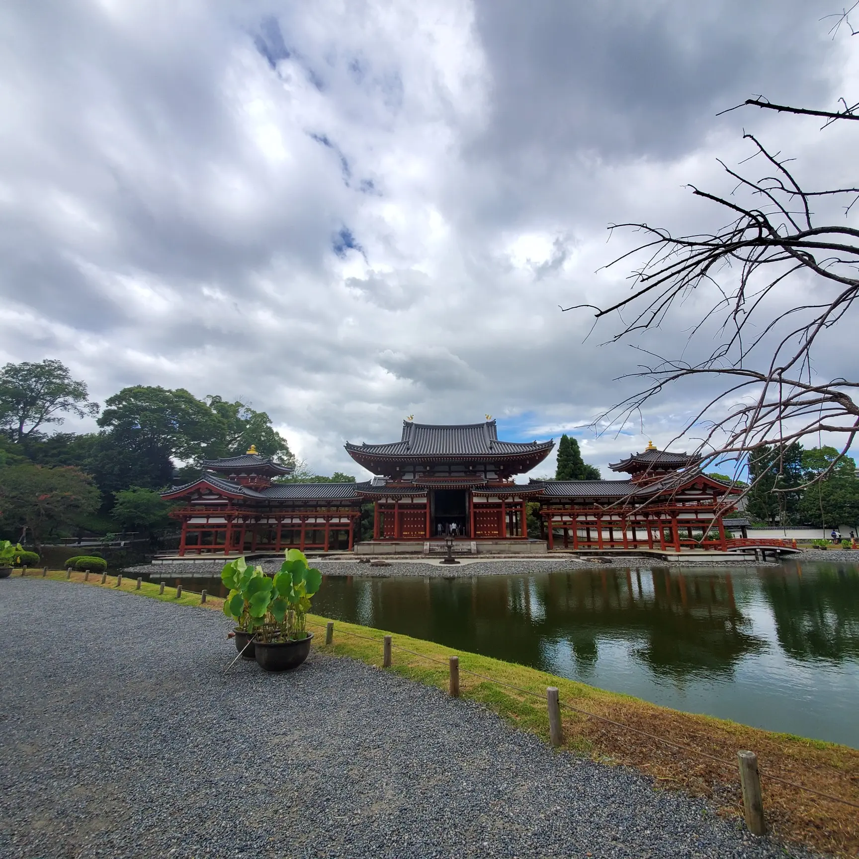 関西日帰りプラン《京都・宇治》世界遺産・平等院を巡る_2