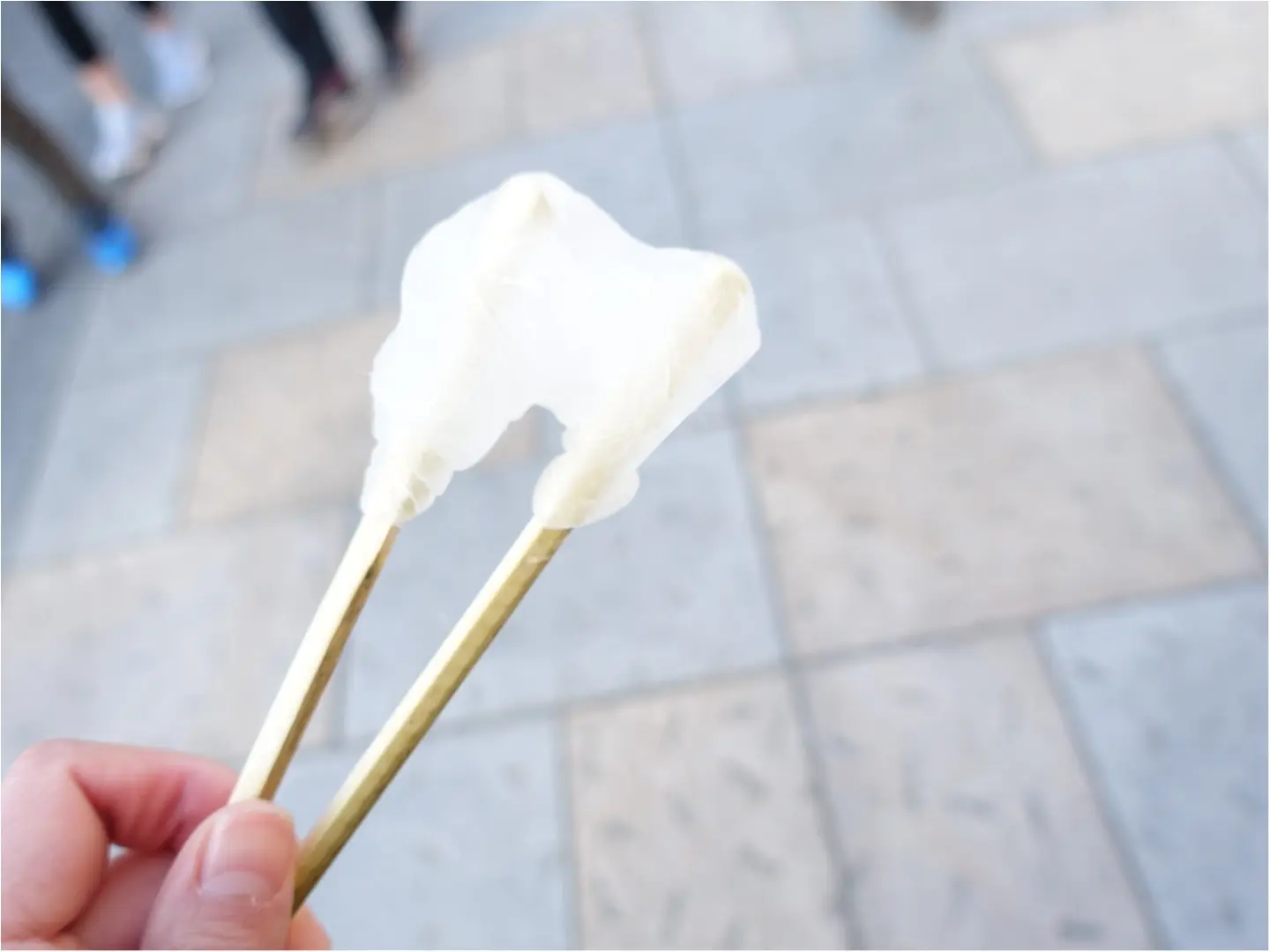 《休日おでかけ》食べ歩きがしたい!いつもと違う雰囲気に癒されたい!でも遠いのはなぁ、、。【さあ、川越へ行こう!】_6