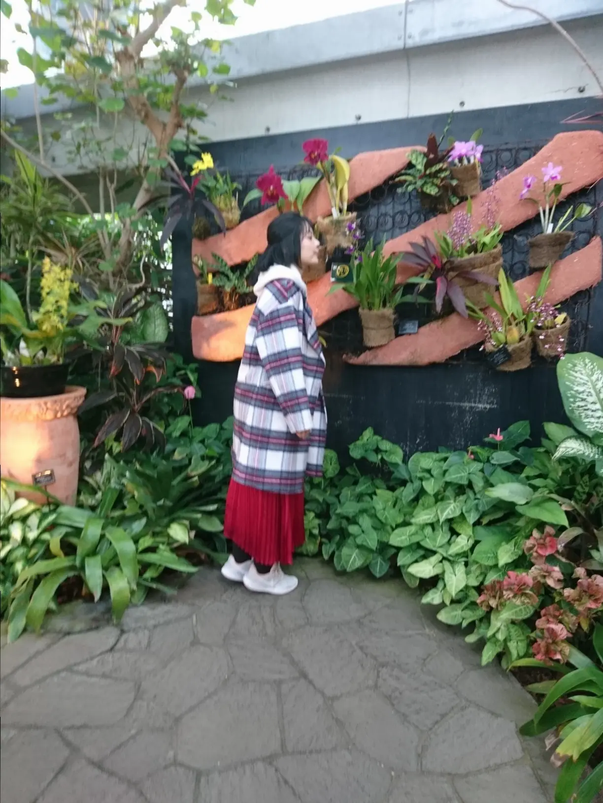 クリスマスシーズンに家族&カップルにお勧め!植物と光に彩られた奇跡の植物館_2