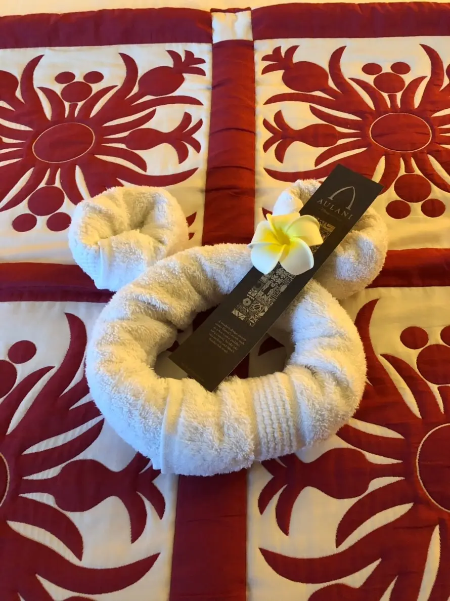 【HAWAII】2019最新♡ディズニー好きなら絶対行くべき!アウラニ編①_3