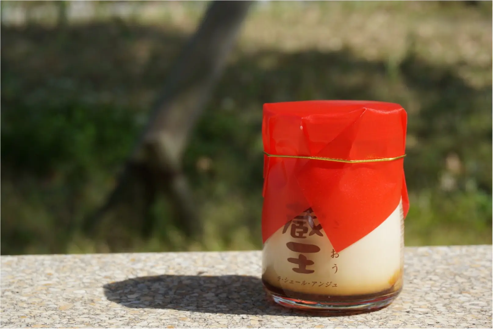 プリン好き必見‼︎人気ご当地プリン50種がお台場に集結✨_4