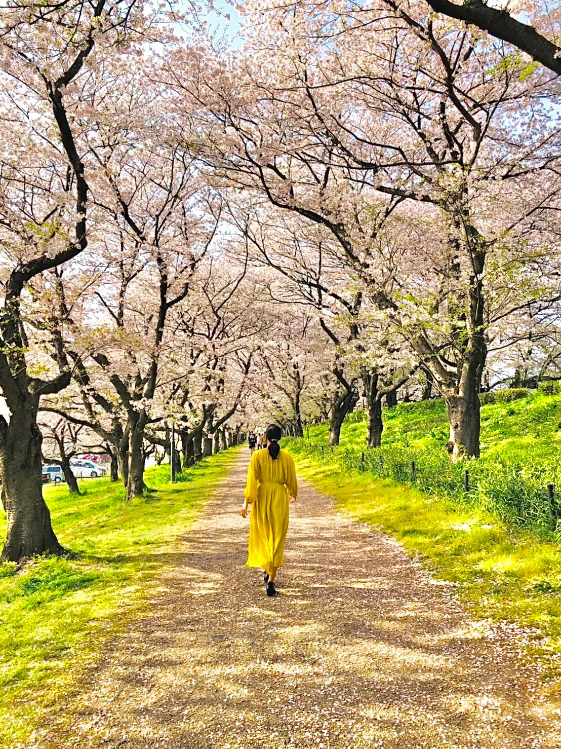 【自己紹介】はじめまして、さくらです!_3