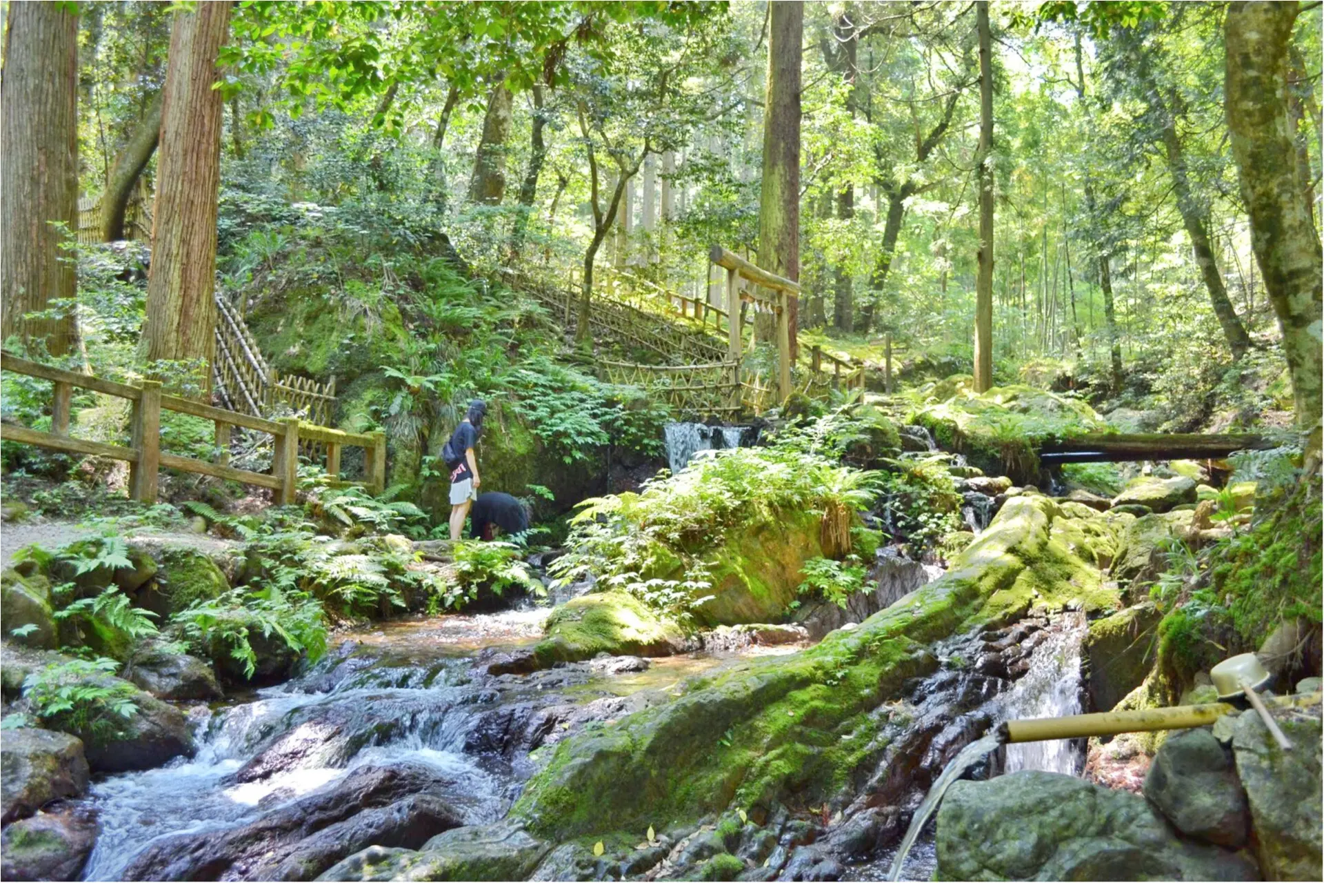 後編♡ 次の週末にオススメしたい!福井の魅力ー美しすぎる5つの絶景_6