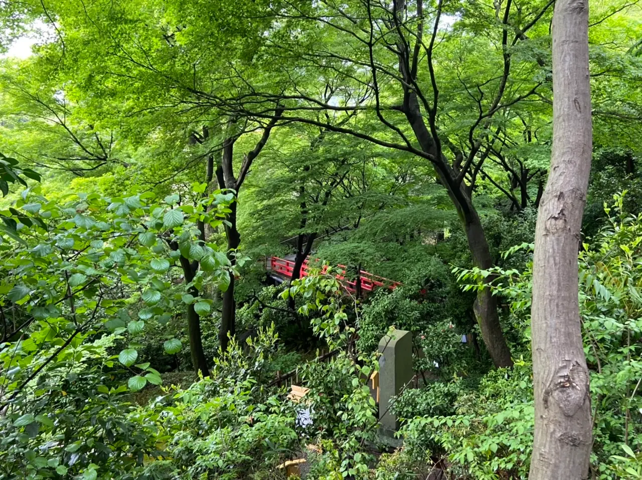 《椿山荘の宇治茶アフタヌーンティー》に行ってきました!_5