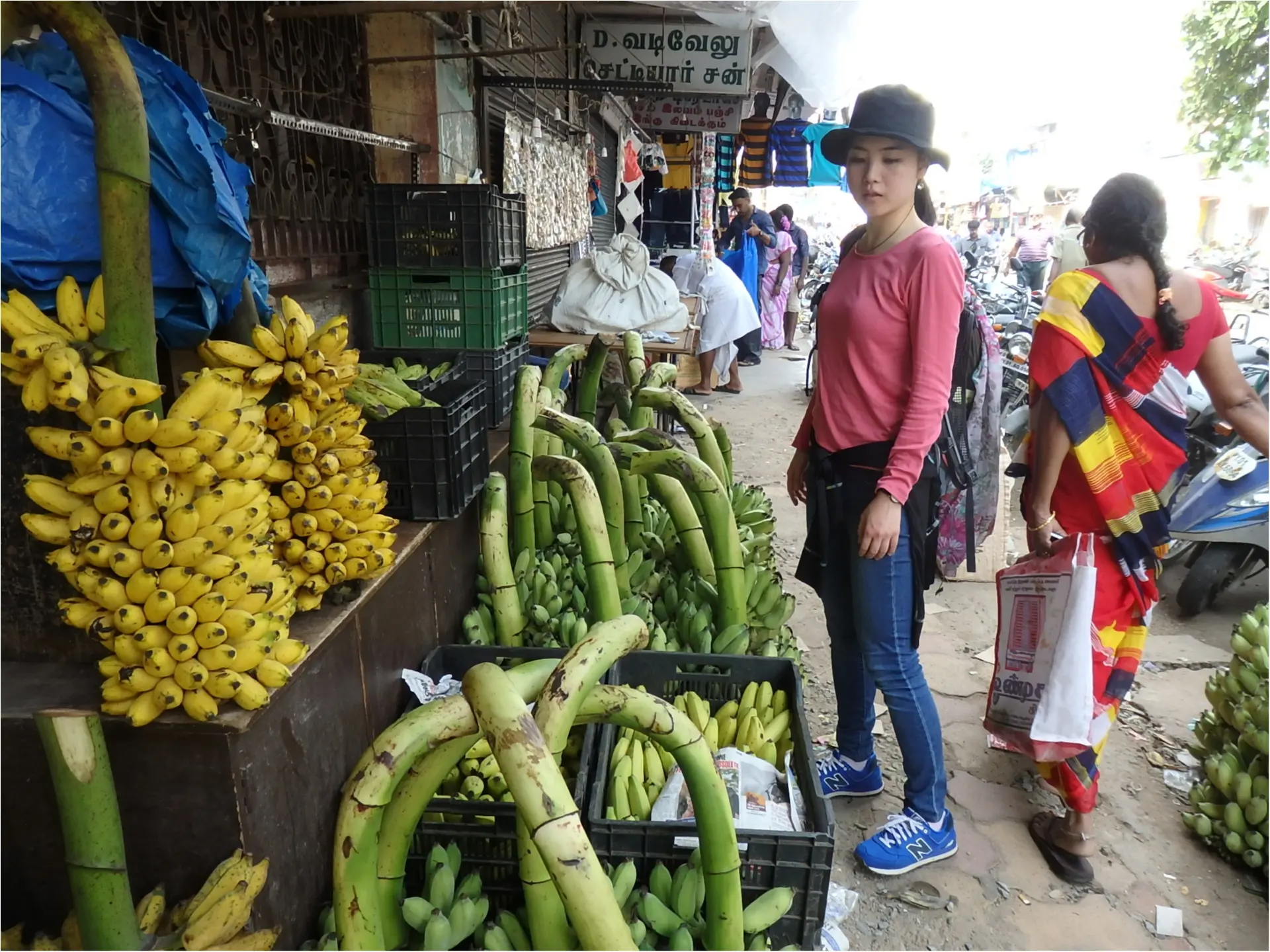 【インド旅】カレーが好きすぎて、本場へ旅してきました♪_2
