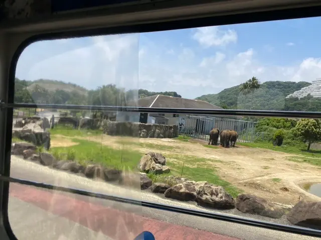 【夏休み】和歌山旅行_6