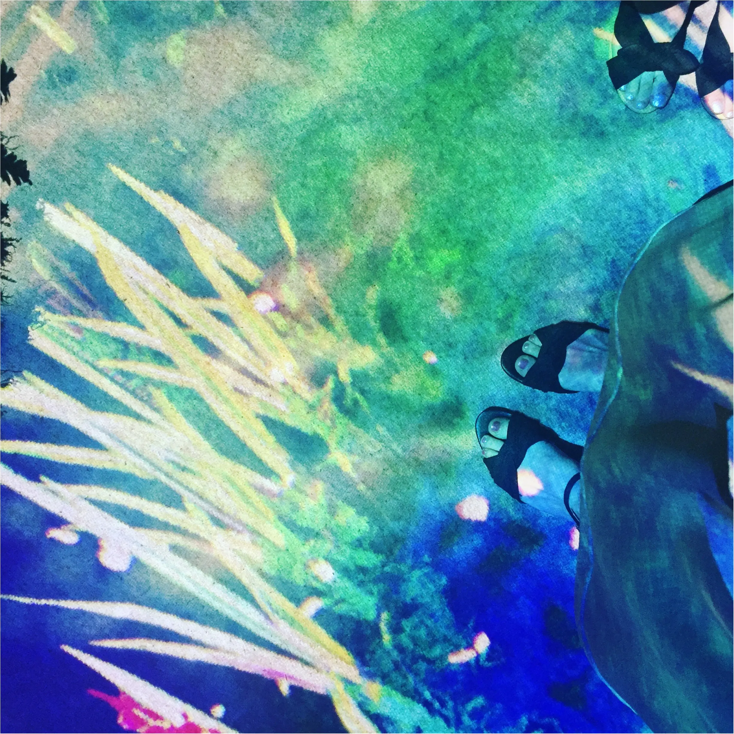 【flowers by naked】五感で楽しむ魅惑の楽園❤︎行くなら絶対◯◯コーデで☺︎_7