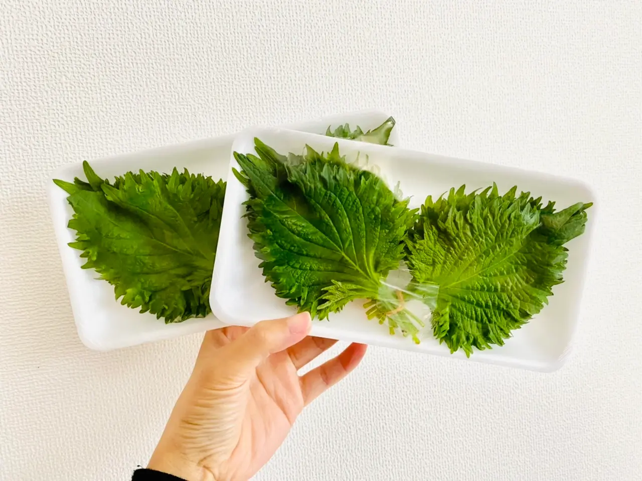 【作り置きおかず】お弁当に大活躍!1つの食材をアレンジして4品★使い切りレシピをご紹介♡〜第59弾〜_2