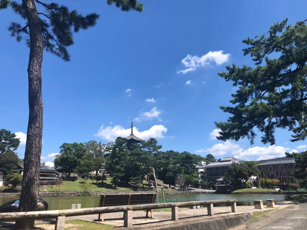 奈良市興福寺と猿沢池の写真