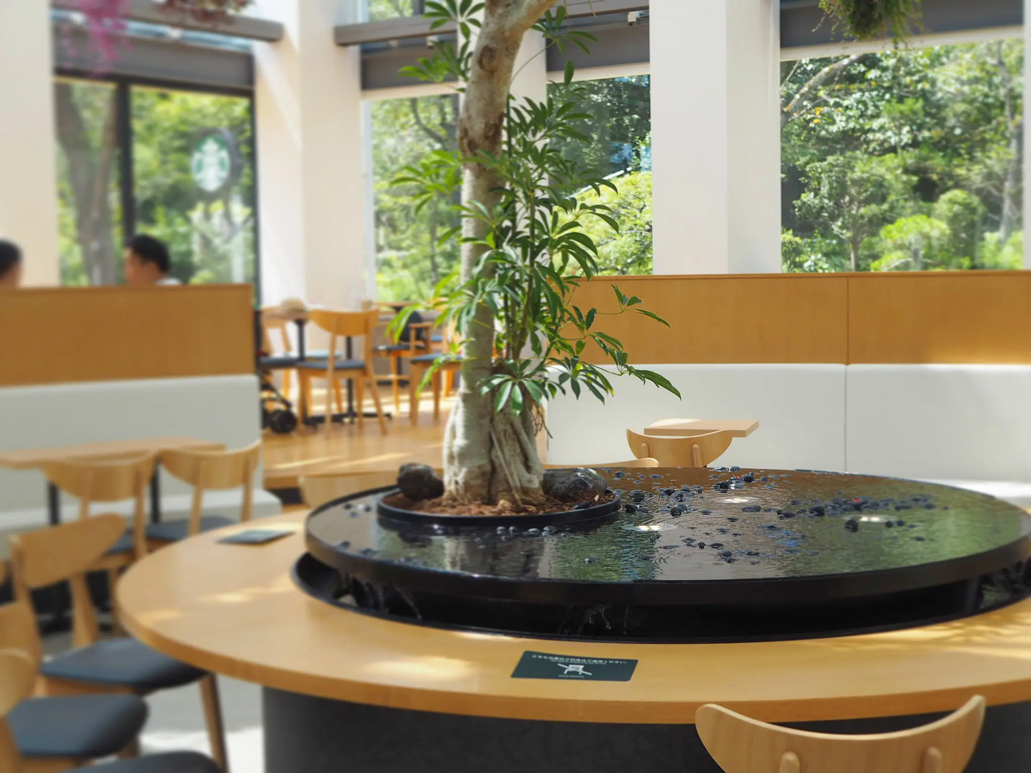 【スタバ×植物園?!】噂のスポット「HANA・BIYORI」徹底レポ!♡ 〜スタバ編〜_10