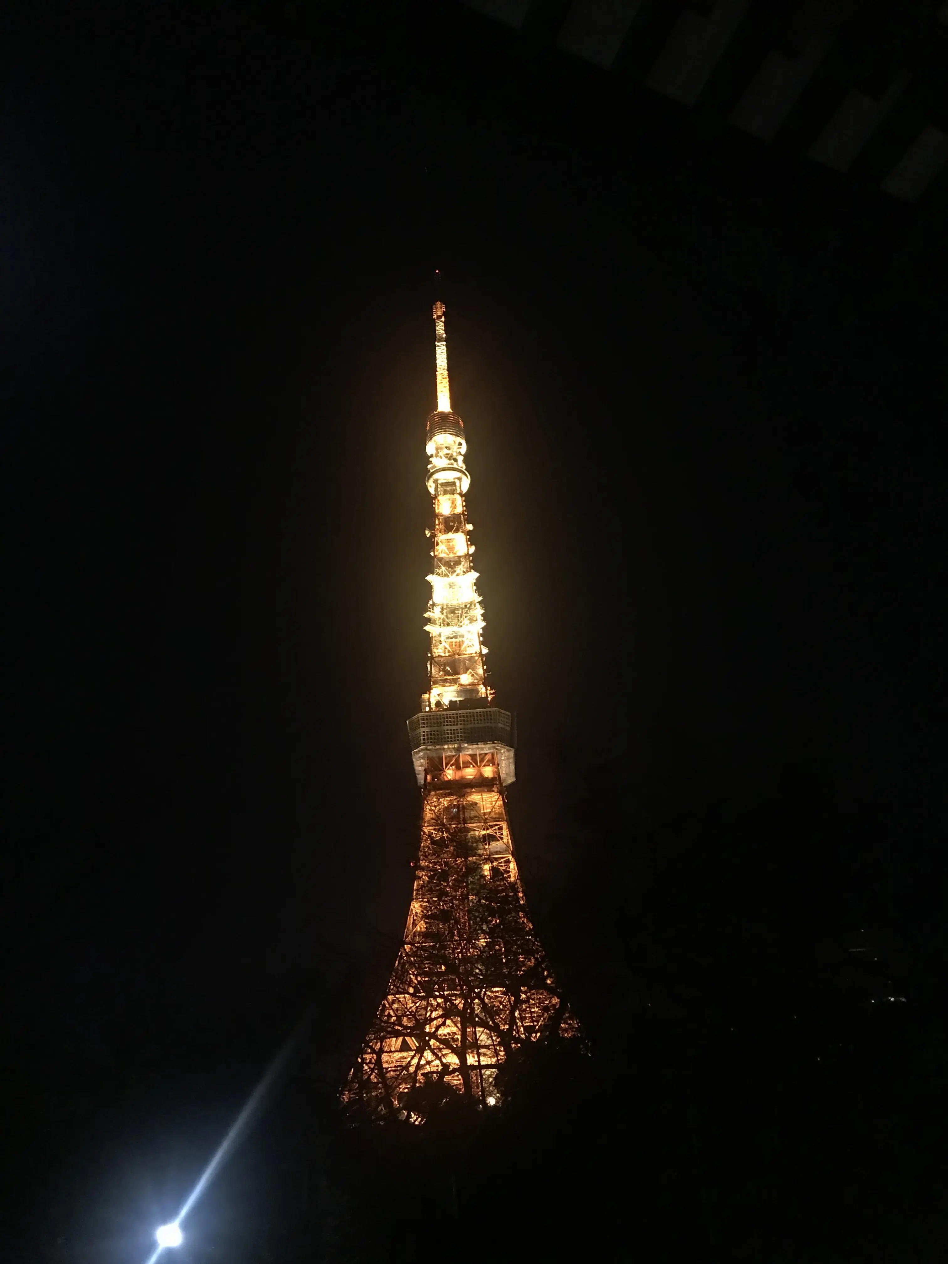 【東京タワー見ながら初詣】あけましておめでとうございます✭2018年もはっぴーな1年にするために♡すてきスポットで初詣に行きましょう!_2