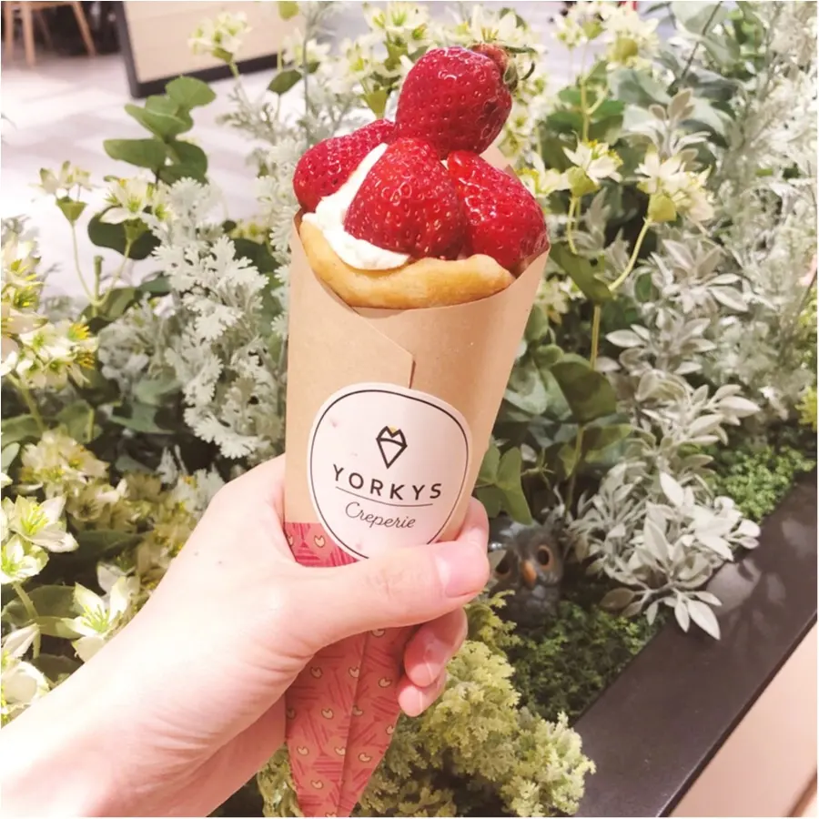 あまおうと生クリームのハーモニー ♡ クレープ専門店 『 ヨーキーズクレープリー 』が大阪にNewオープン ♡♡_2