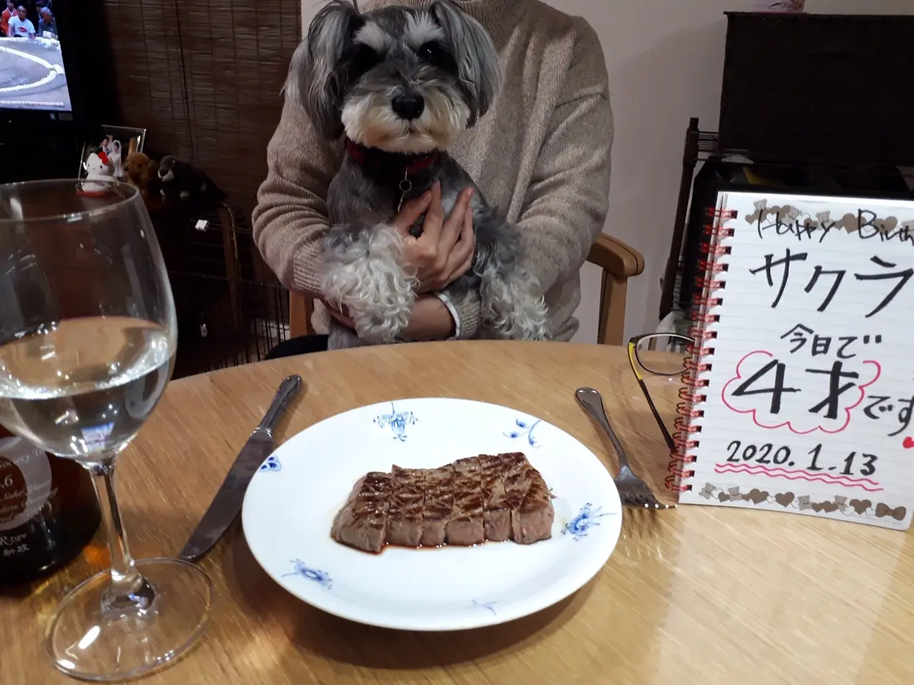 【今日のわんこ】サクラちゃん、4歳になりました♡_1