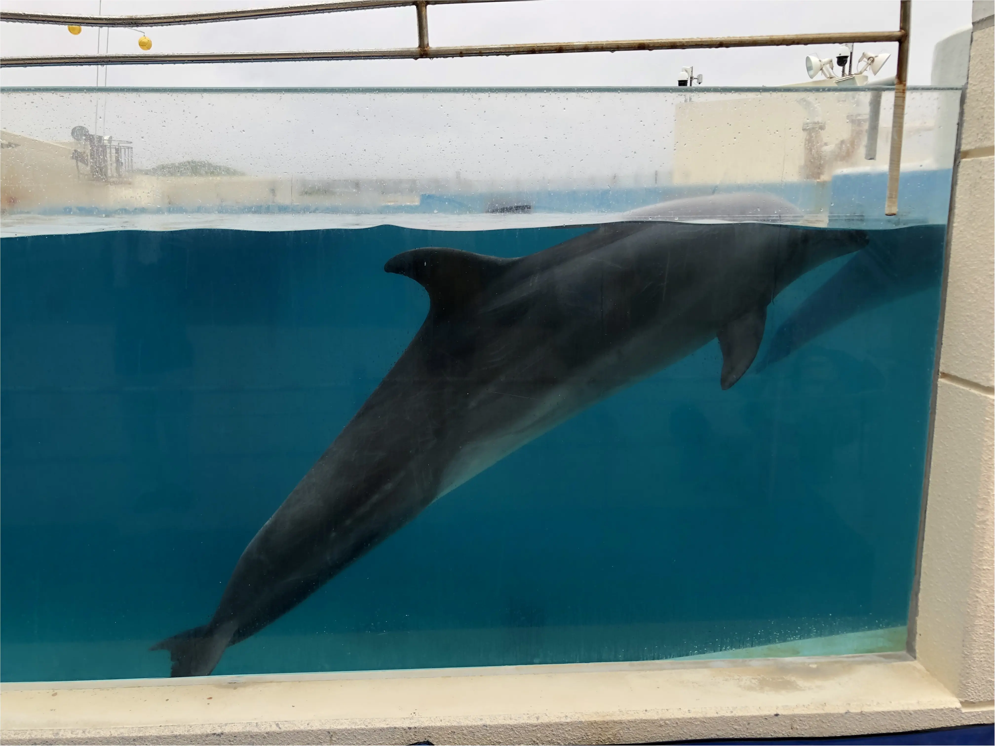 沖縄旅行2日目パート2♡_2