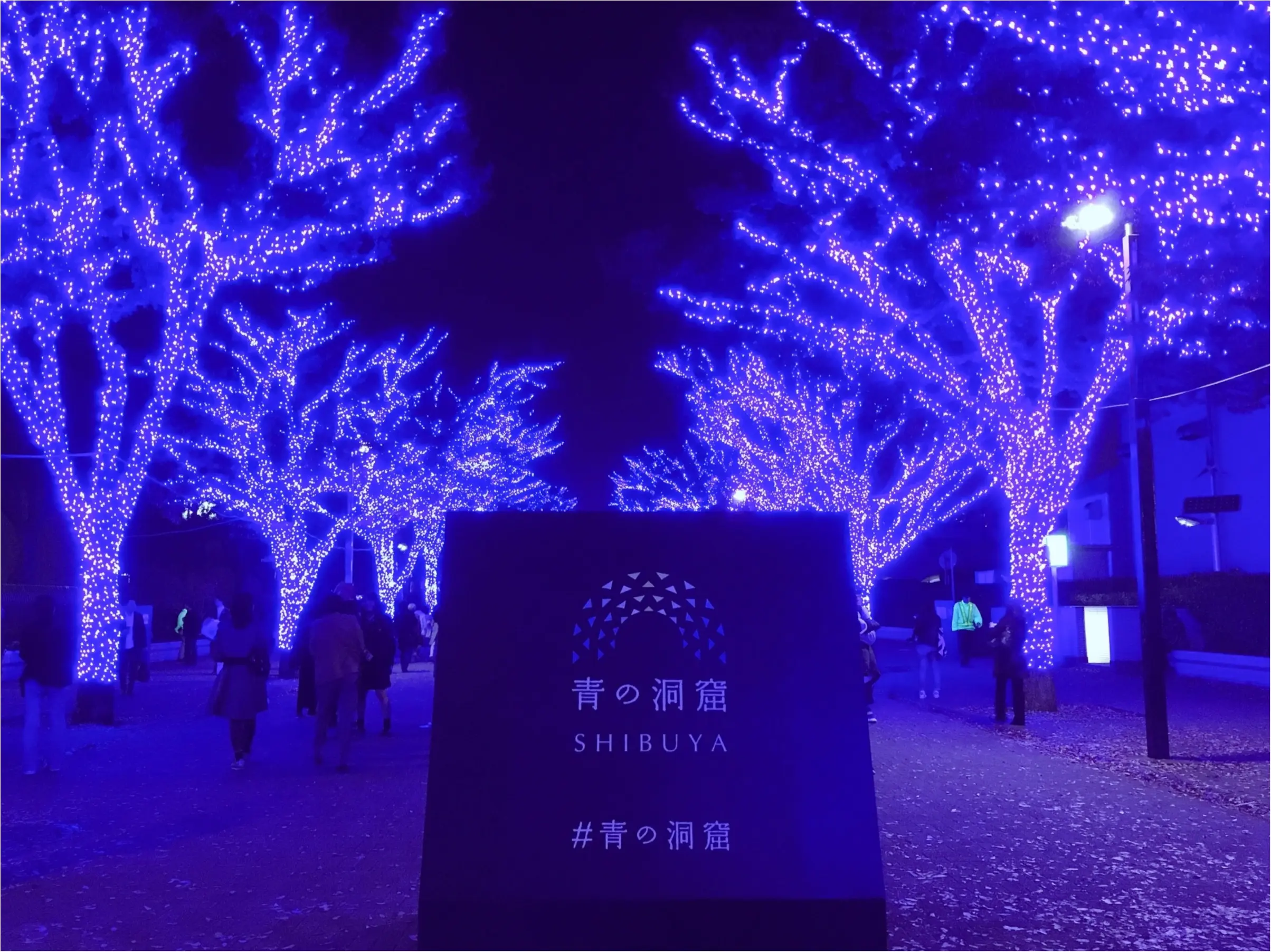 あの『青の洞窟』が渋谷に帰ってきた♡一面ブルーのイルミネーションは見逃し厳禁(*´ ˘ `*)_5