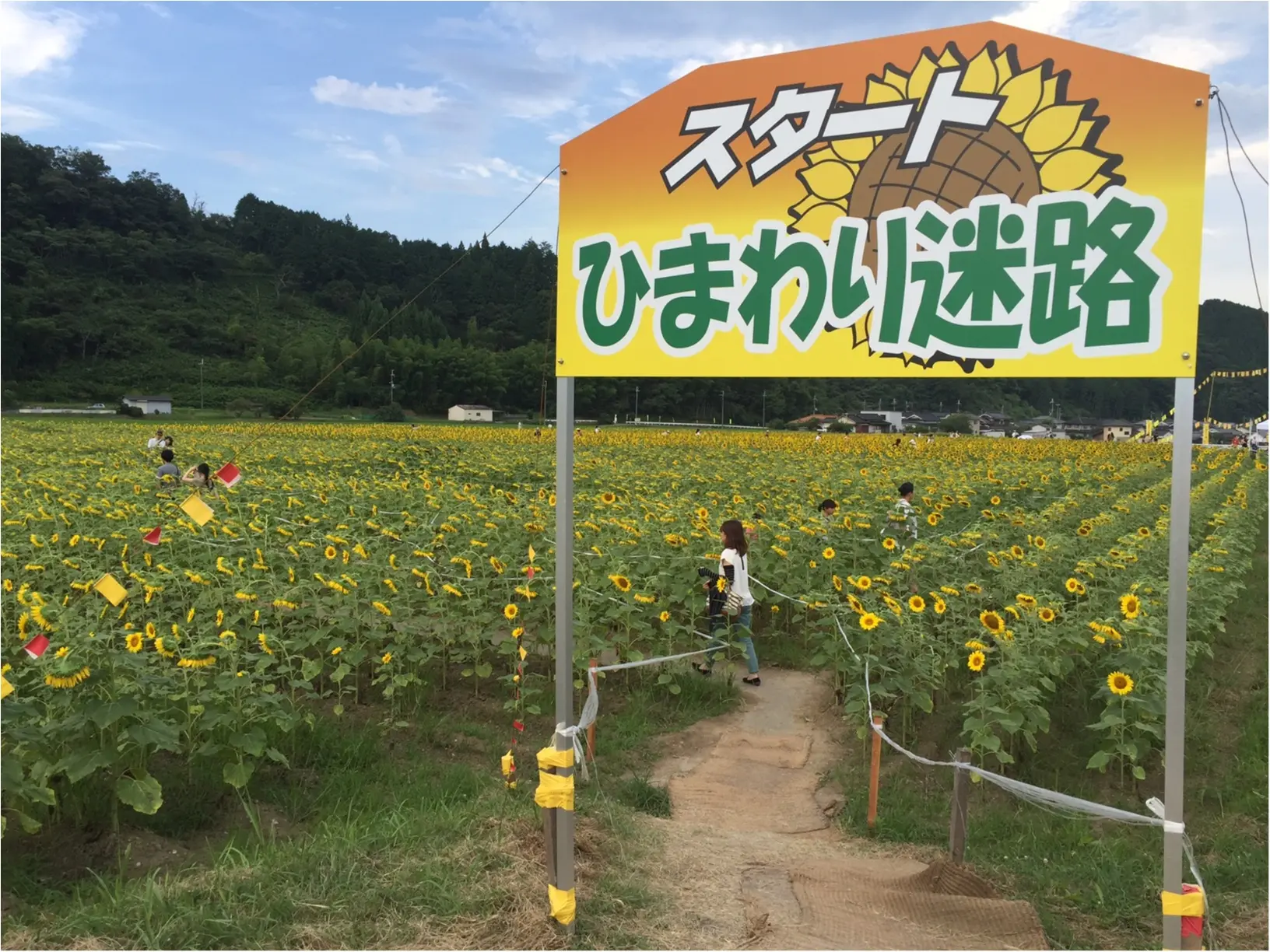夏だ!8月だ!満開のひまわり畑へ!_10