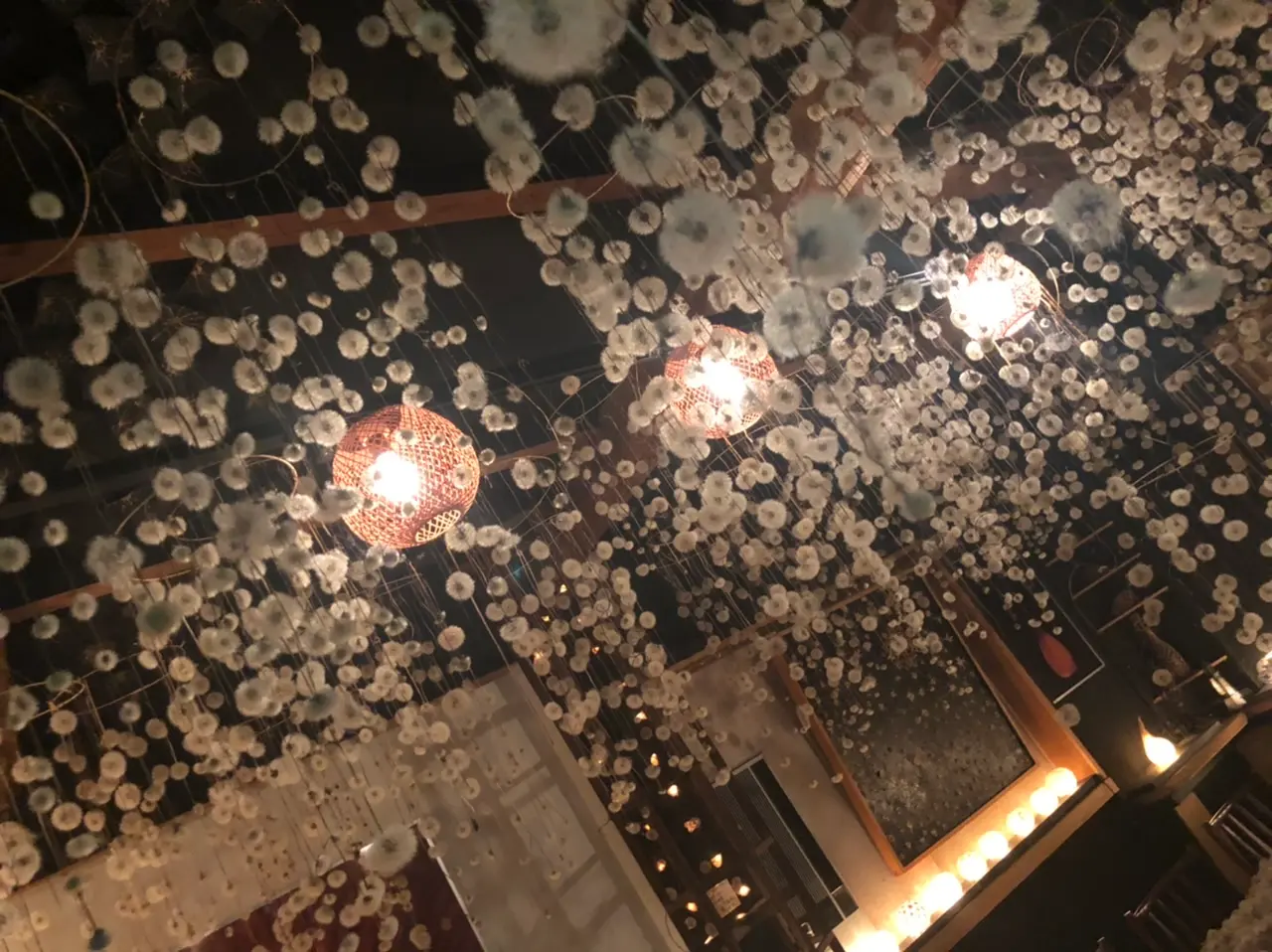 【金沢】北陸の魅力発信!インスタ映え間違いなしの幻想的空間【HIMITO】_9