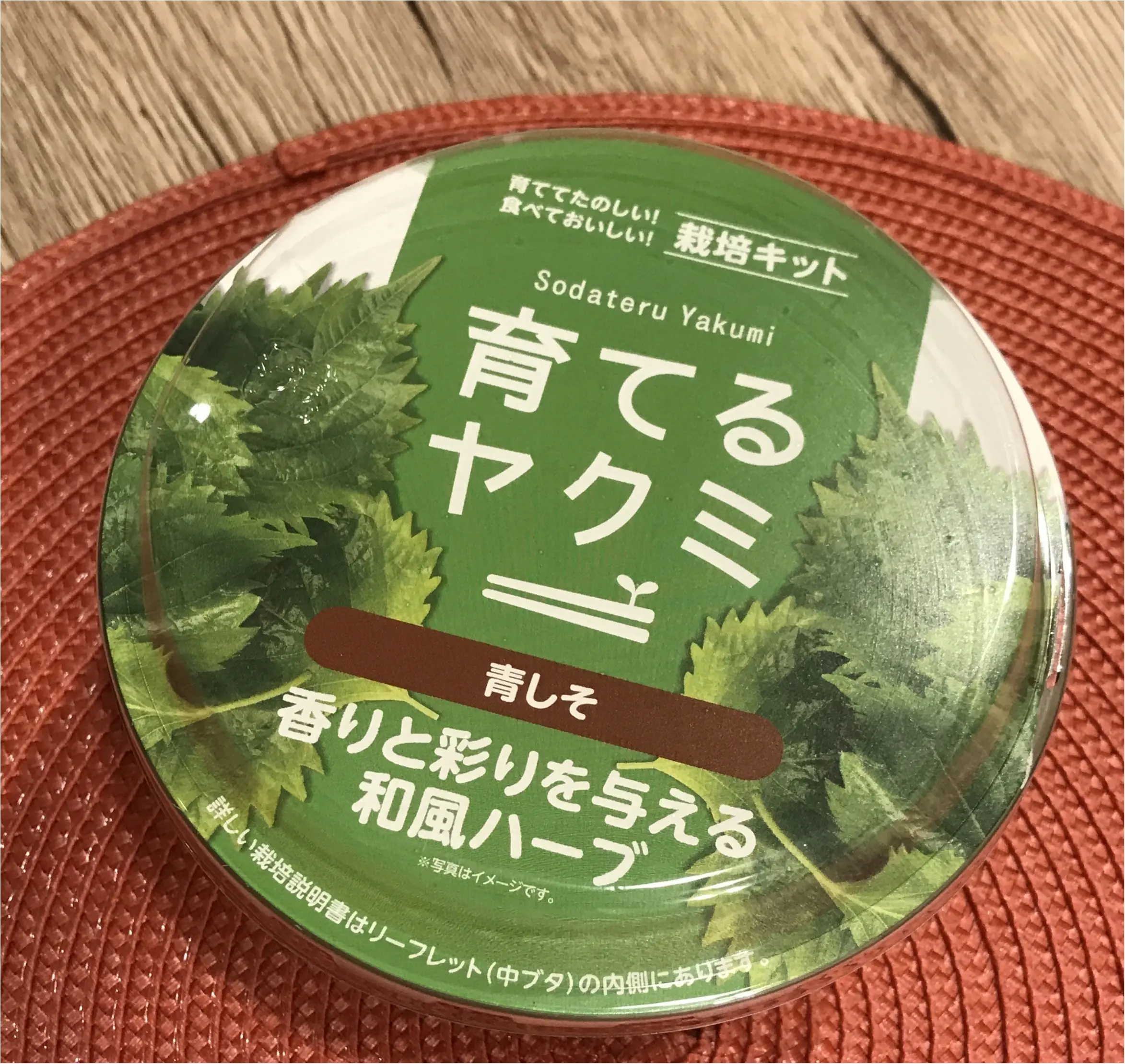 【life】コンビニで売っていた〇〇を試してみます!プチ家庭菜園デビュー!!_1