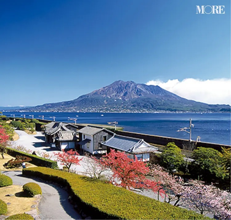 絶品シュークリームのカフェ、大名庭園「名勝 仙巌園」でまったり♡ 鹿児島県霧島市女子のリアル【ニッポン全国ご当地OLのリアルな生態リサーチ】_4