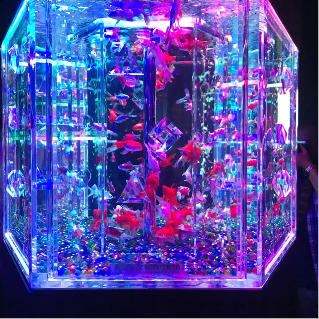 【アートアクアリウム2018〜江戸・金魚の涼〜】今年も日本橋へ!和と四季を楽しもう!_1