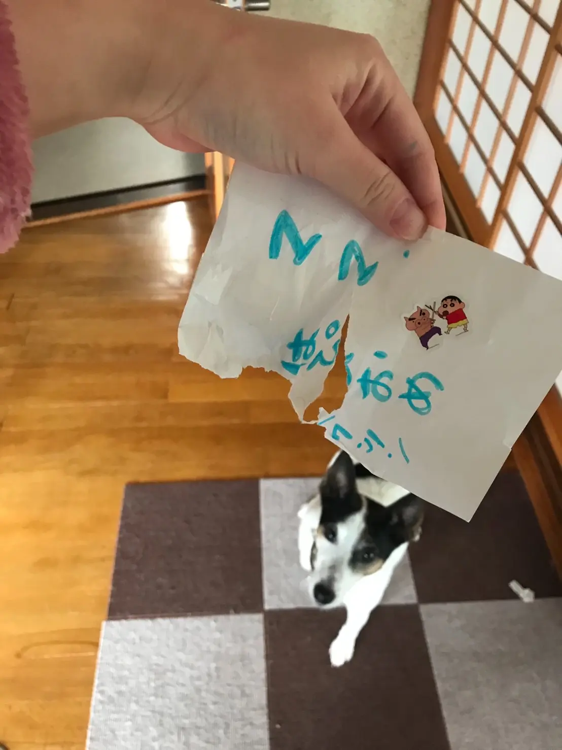 【今日のわんこ】郵便屋さんを頼まれたテツくんですが……?_1