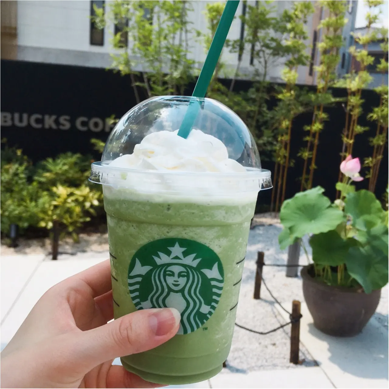 本当は教えたくない♡京都なのに空いてて、日本庭園で飲める!穴場の【スタバ】があるんです(*°○°*)_10