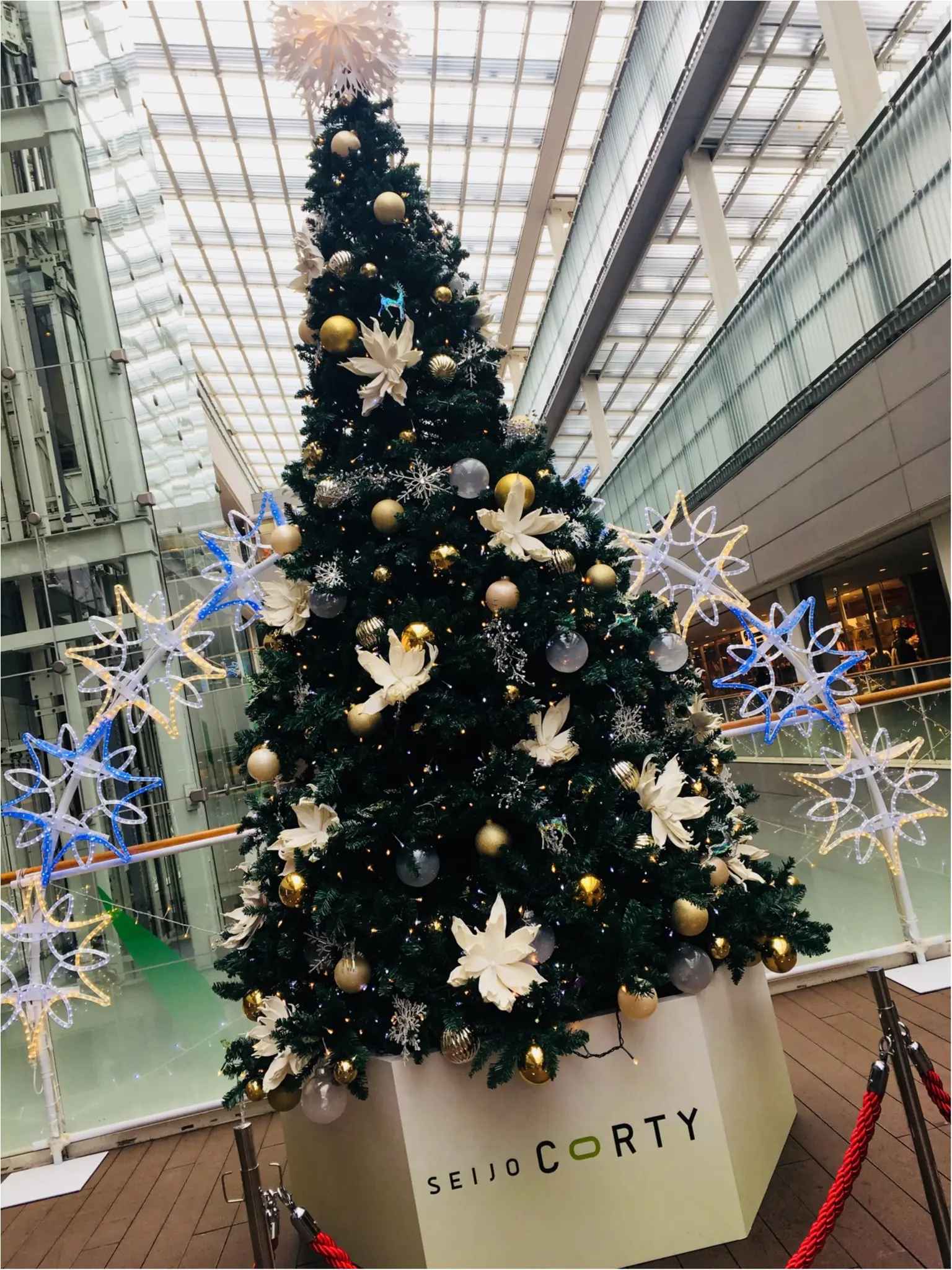 有休の使い方のご提案。一足早いクリスマスパーティーを★ケーキは成城アルプスの名物、バターケーキ!_9