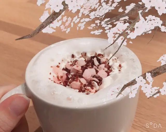 スタバ新作♡さくらシリーズ第一弾、さくらミルクラテがめちゃくちゃ美味しい♡♡♡_1